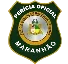 PERÍCIA OFICIAL DO MARANHÃO