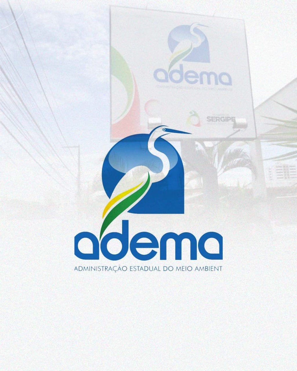 ADEMA – Técnico Ambiental