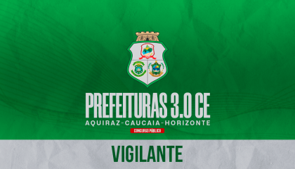 VIGILANTE
